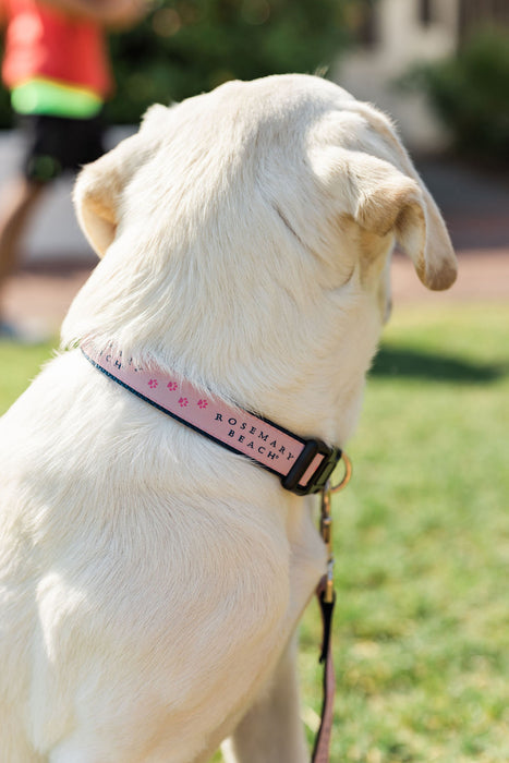Rosemary Beach® Dog Collar