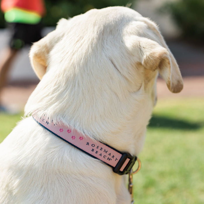 Rosemary Beach® Dog Collar