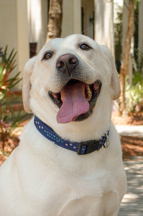Rosemary Beach® Dog Collar