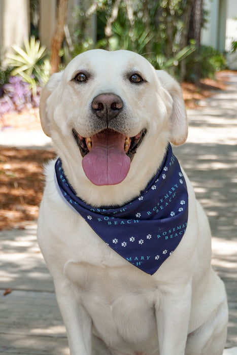 Rosemary Beach® Pet Bandana