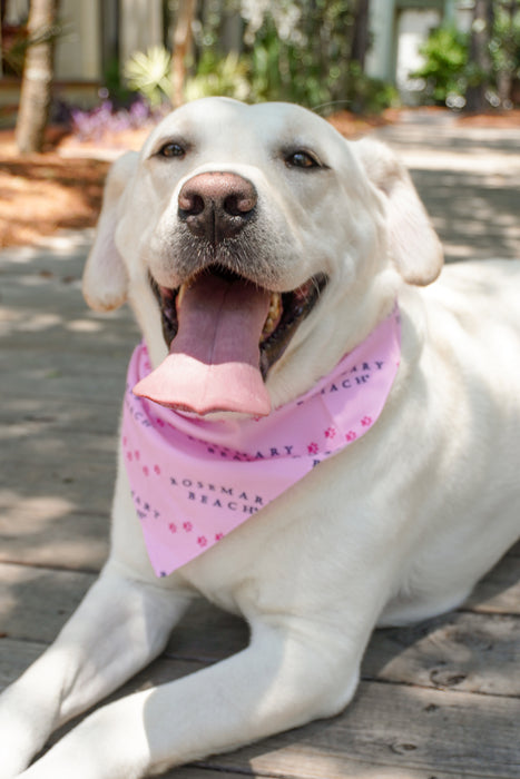 Rosemary Beach® Pet Bandana