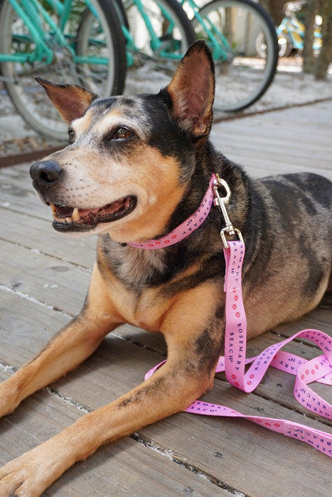 Rosemary Beach® Dog Leash