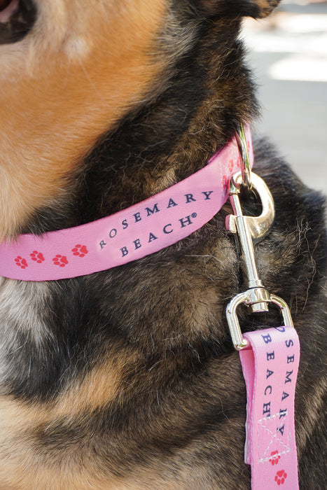 Rosemary Beach® Dog Collar