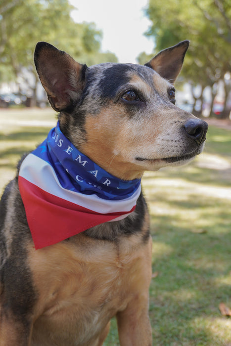 Rosemary Beach® Stars and Stripes Dog Bandana