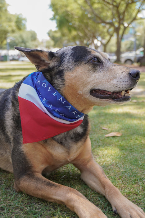 Rosemary Beach® Stars and Stripes Dog Bandana