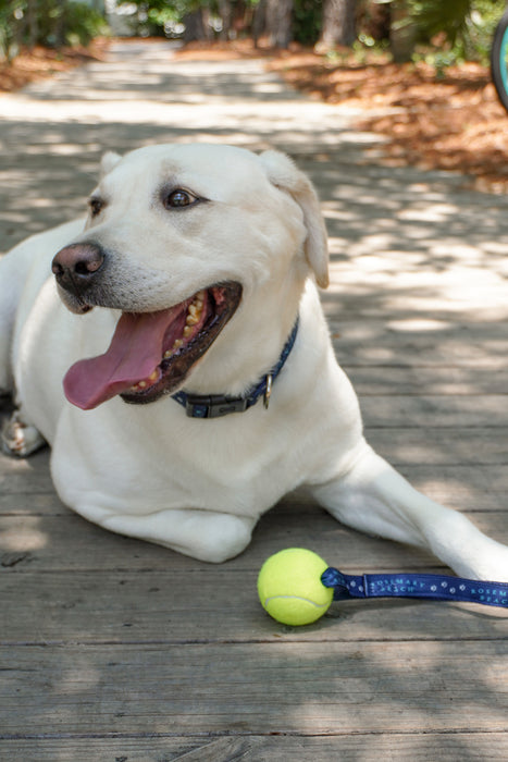 Rosemary Beach® Tennis Ball Toy