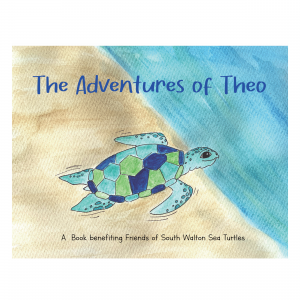 Adventures of Theo Book
